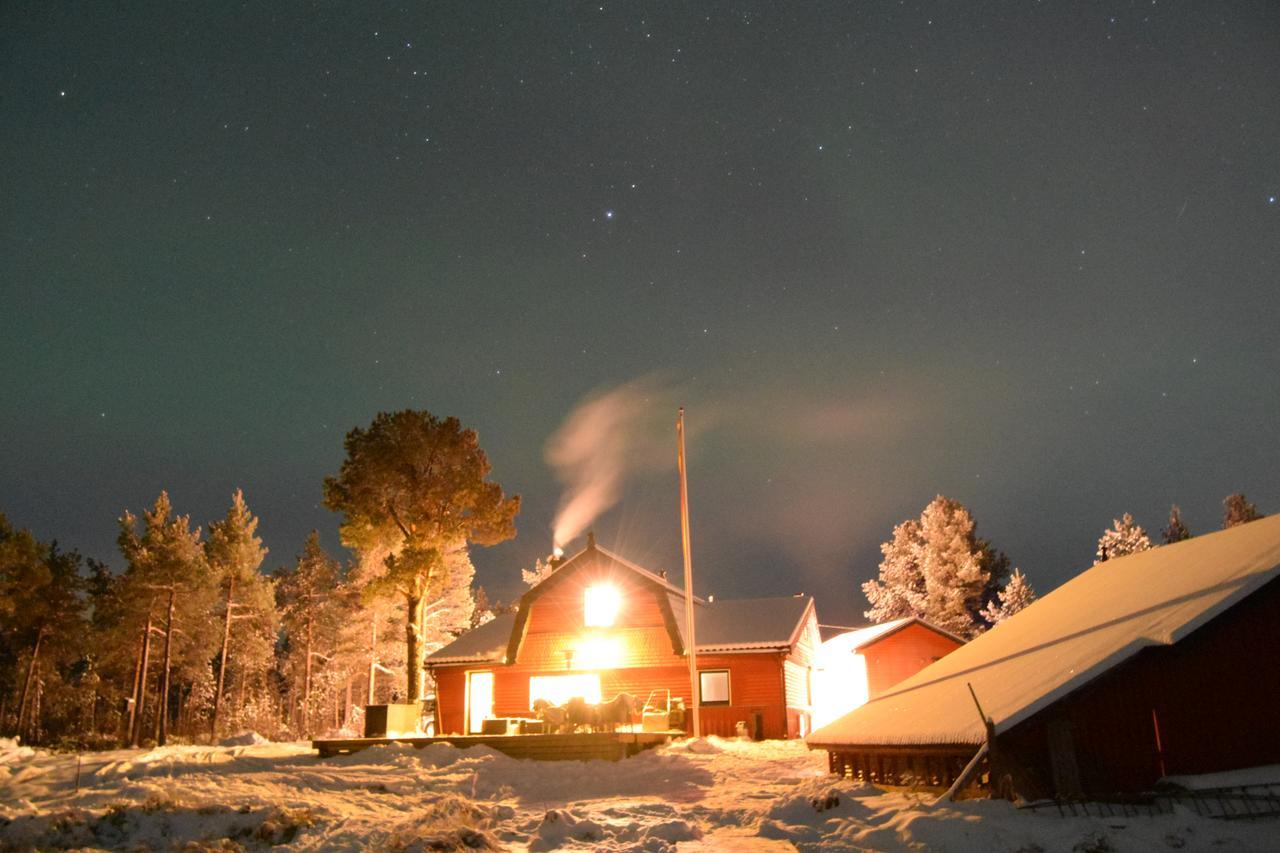 Camp Caroli Wooden Cabins Jukkasjärvi Kültér fotó